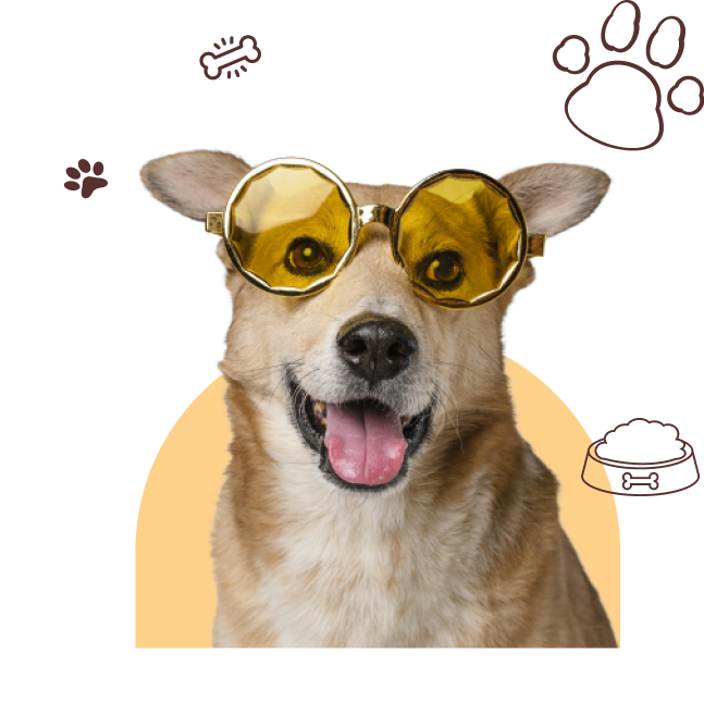 about Us Dog Image